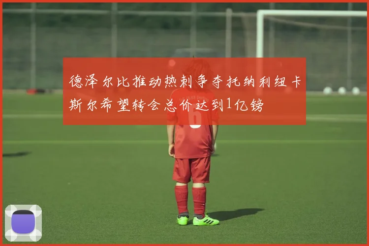 德泽尔比推动热刺争夺托纳利纽卡斯尔希望转会总价达到1亿镑
